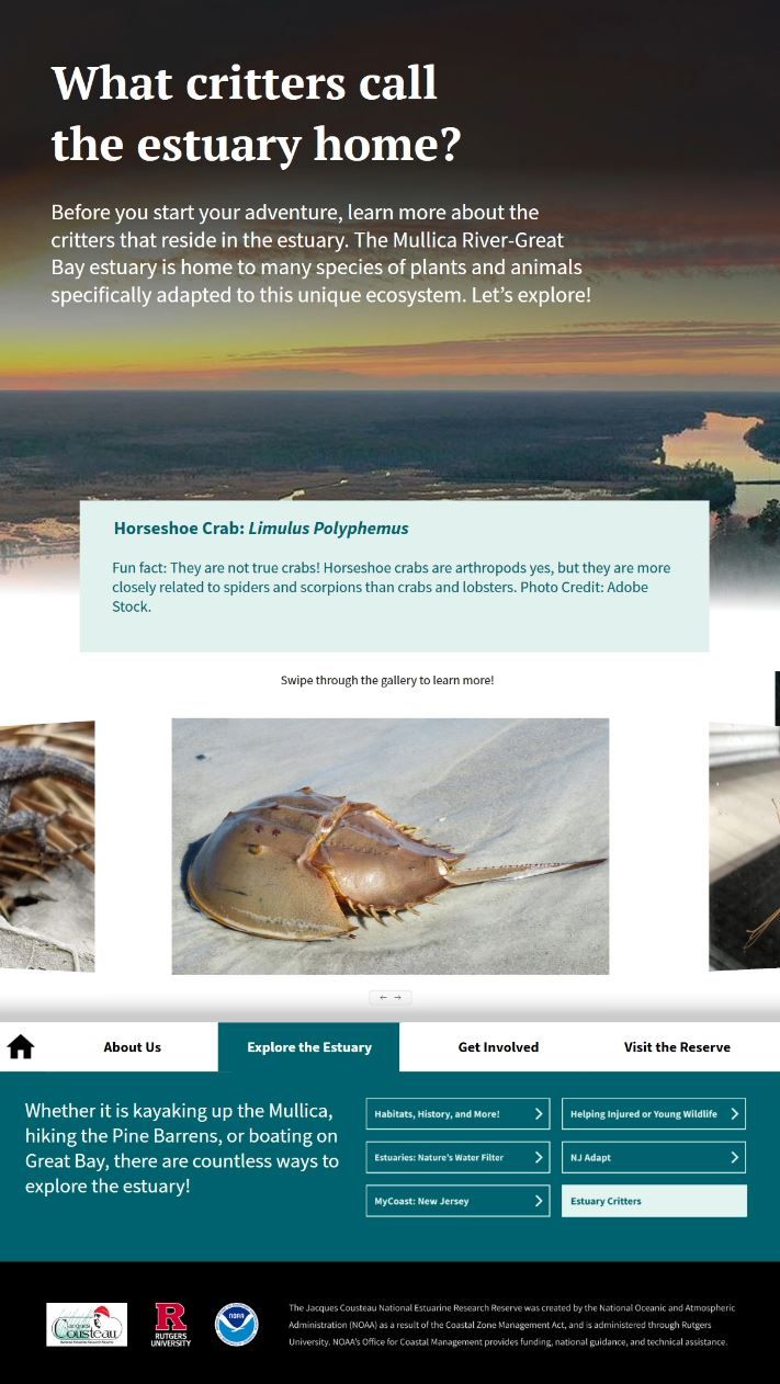 an informational kiosk screen showing a horseshoe crab