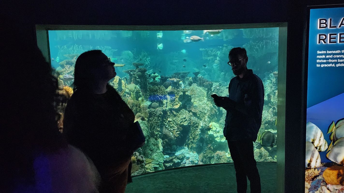 People silhouetted against an aquarium tank.