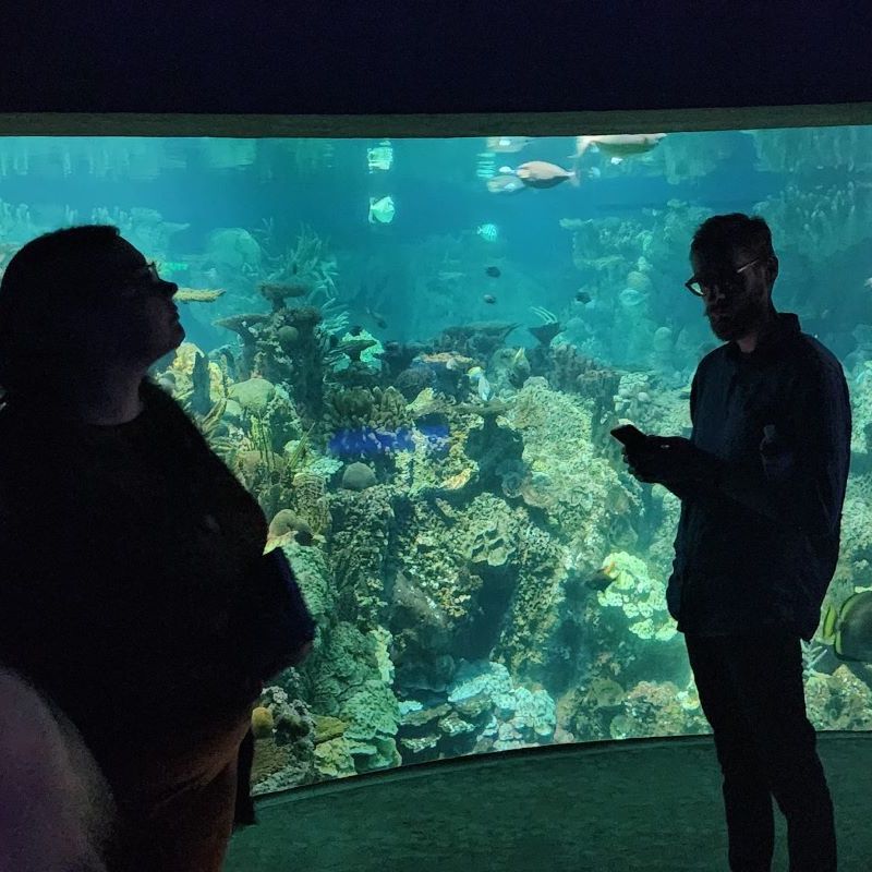 People silhouetted against an aquarium tank.