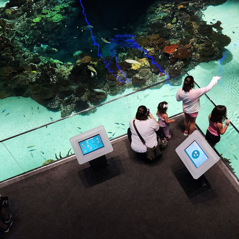 People looking into an aquarium exhibit.