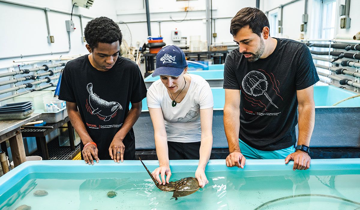 a woman holding a horseshoe crab in a tank of water while two people watch intently